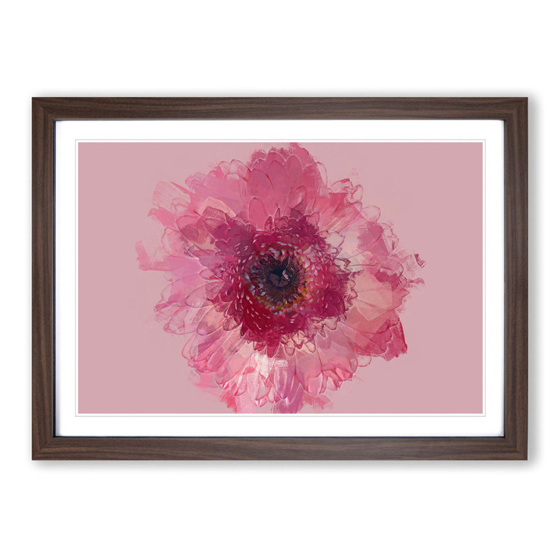 Layers of a Pink Gerbera in Abstract - Picture Frame Graphic Art Print, 36cm H x 48cm W x 2cm D, Walnut Framed