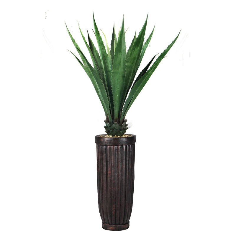 Agave d'intérieur / extérieur Panama Bannister, H 72 po x l 36 po x P 36 po, Vert foncé