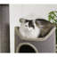 Dones 130cm H Cat Tree