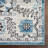 Anstice Oriental Indoor Rug-29199984