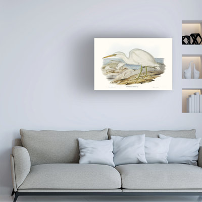 Bolognaise «Majestic Waterbird II» sur