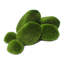 4.5'' Faux Moss Plant