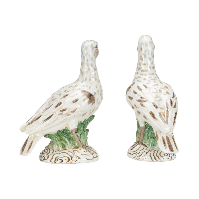 Terns