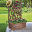 Shruthi Planter