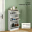Petite armoire de rangement, armoire de rangement pour chaussures, armoire de rangement dissimulée pour chaussures