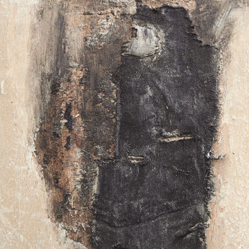 Burro Dia by Paul Meyer, 18" H x 18" W