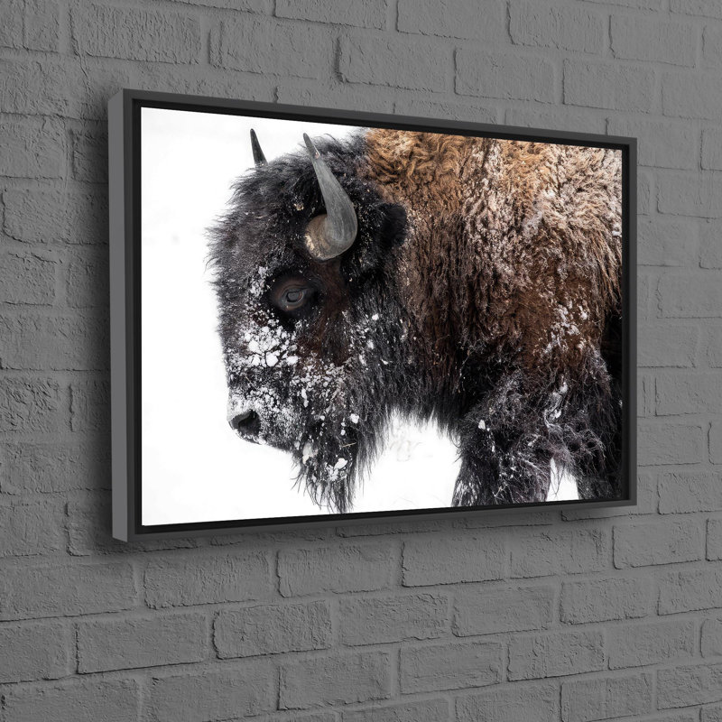 Print on Canvas, 20 cm H x 30 cm W, Black Floater Framed