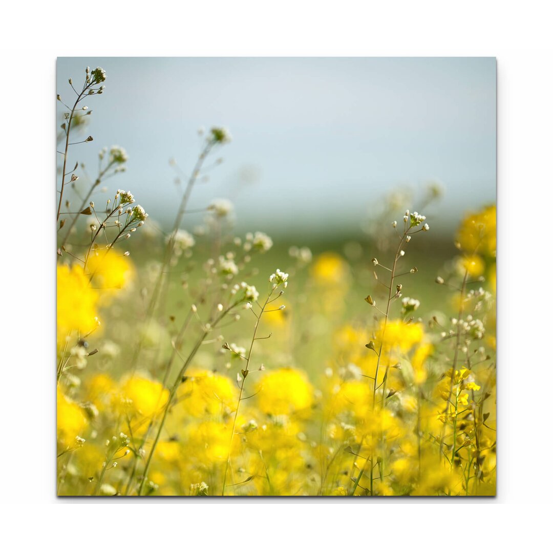 Leinwandbild Blumen – Nahaufnahme