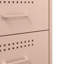 Bedside Cabinet 36x39x68 cm Steel-1427999333