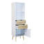 171cm H x 50cm W Standard Bookcase