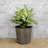 2-Pack Self-watering Wicker Decor Planter