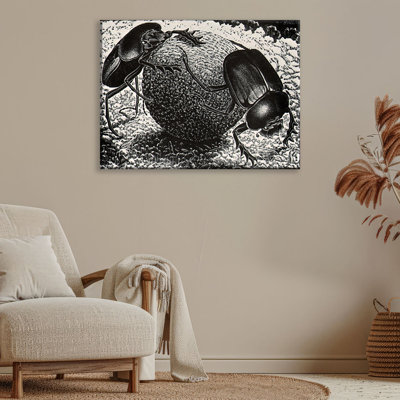 Toile tendue Scarebs par M.C.Escher Gallery