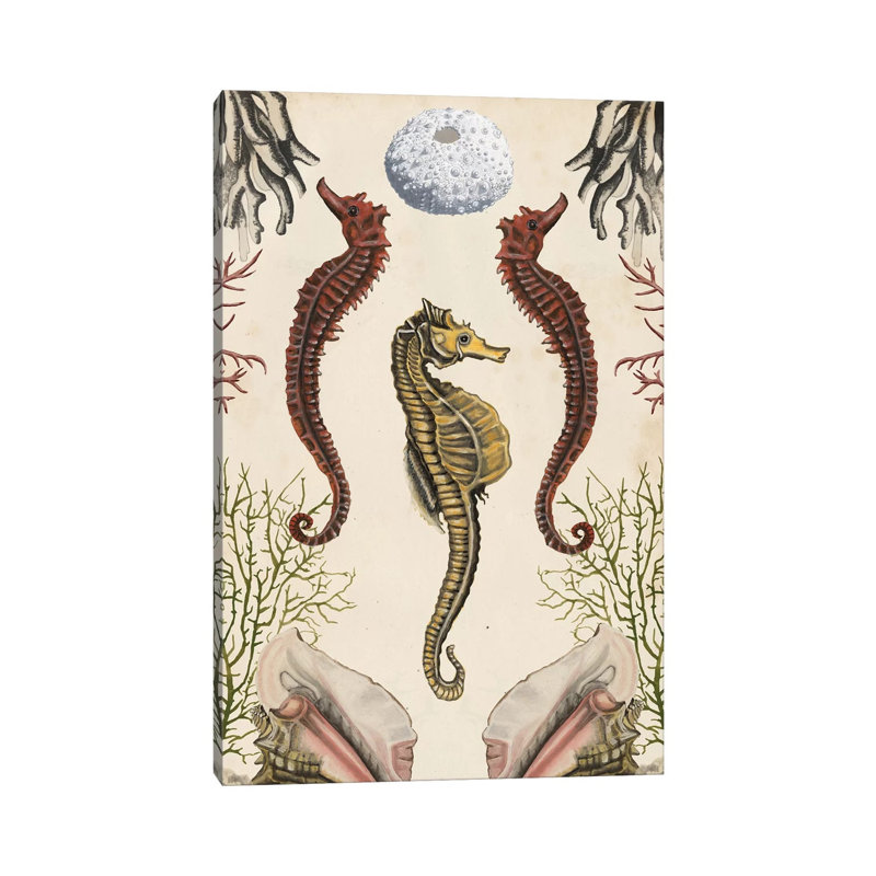 Antiquarian Menagerie: Seahorse by Naomi McCavitt - Wrapped Canvas Gallery-Wrapped Canvas Giclée, 20.32 cm H x 30.48 cm W