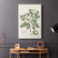 Buchoz Tropicals I -Gallery Wraraped Cavas-887520065