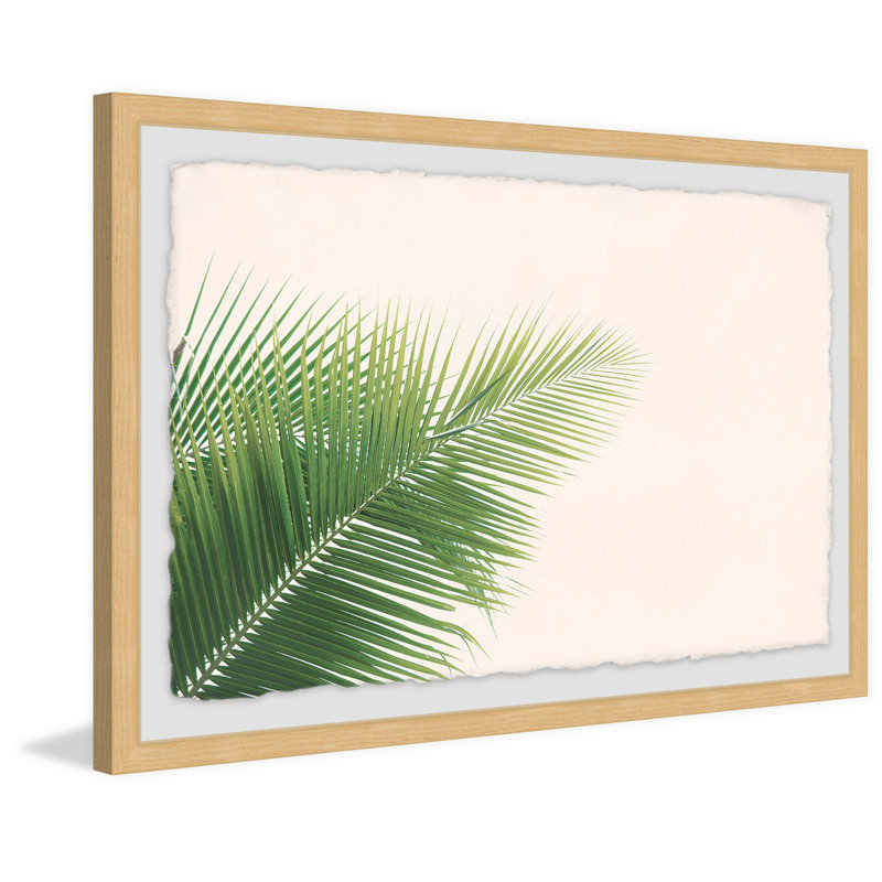 Palm Angles - Single Picture Frame Print, 61 cm H x 91 cm W x 4 cm D
