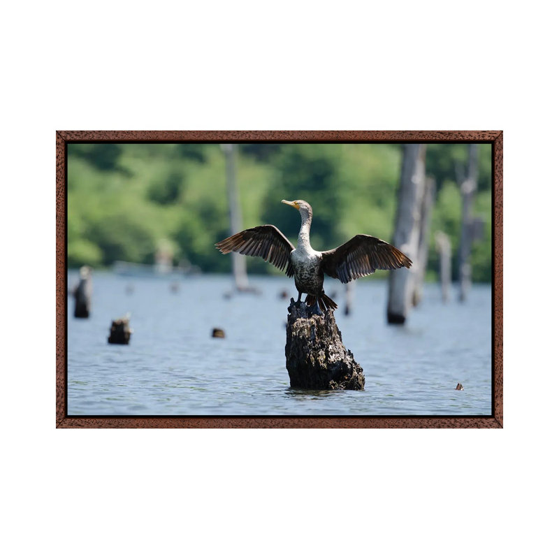 Airing It Out by David Gardiner - Wrapped Canvas Print, 66.04 cm H x 45.72 cm W, Brown Framed