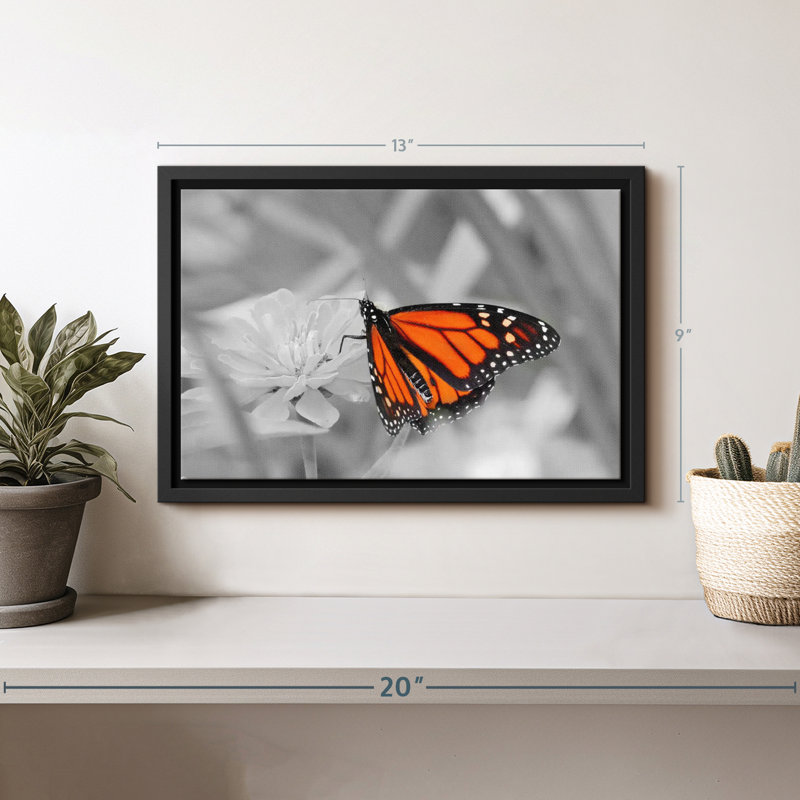 «Orange Butterfly Wonder Wall Art», H 9 po x l 13 po