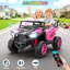 Voiture Alex 2 places 24V Alex, UTV pour enfants, roues électriques avec télécommande, véhicule électrique multifonction, rose rouge-119521616