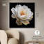 «Golden Nocturne I», reproduction d'art sur toile par Art Remedy, cadre noir, 40 x 40-439291640-439291635
