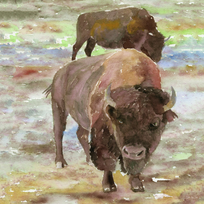 " Great Buffalo " by Stellar Design Studio, 12" H x 12" W, Wrapped Canvas