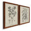 Antique botanique noir et blanc antique - ensemble de 2 reproductions d'art-672527105-672527116-686387518
