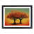 Black Framed selected