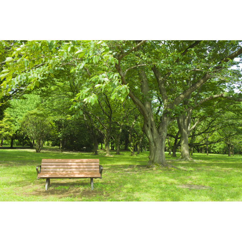 Park Park sur toile par Wat, photographie, H 32 po x l 48 po x P 1,25 po