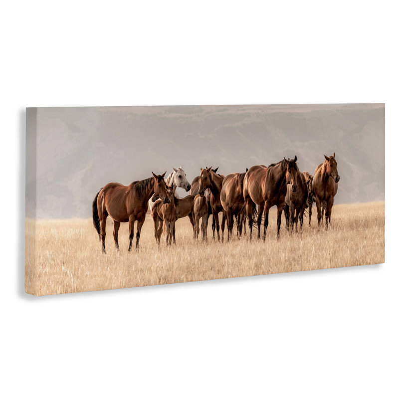 Toile Montana Mares Herd, conception de Christy Berry, H 10 po x l 24 po