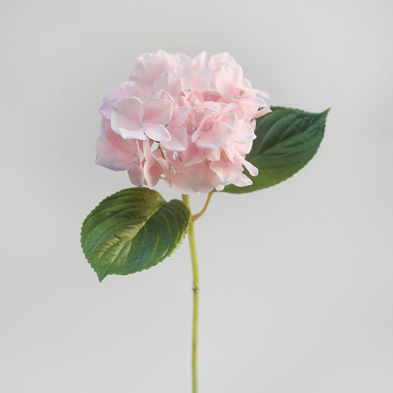 Hortensia rose 18,5 po Real Touch, Pink, 18.5" H x 5" W