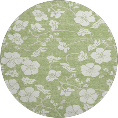 Premium Machine Washable Birchview AMF1032 Floral Rug