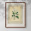 Impression florale rétro sur papier-956840459-956840458