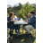 4 - Person Patio Dining Set Rectangular Table