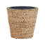 Niwot Plant Pot