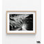 Reproduction de photo encadrée de plante de fromage suisse, art mural photo noir et blanc Monstera, impression de photo botanique, art mural encadré, art mural surdimensionné