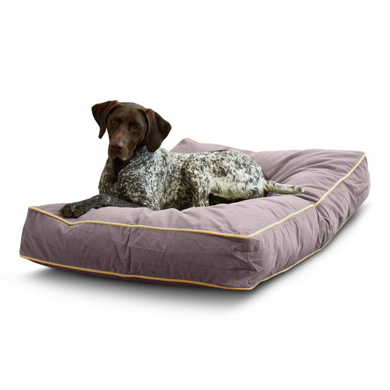 Lit pour chien Olivarez Classic, Moyen (L 42 po x l 30 po x H 6 po), Fumée