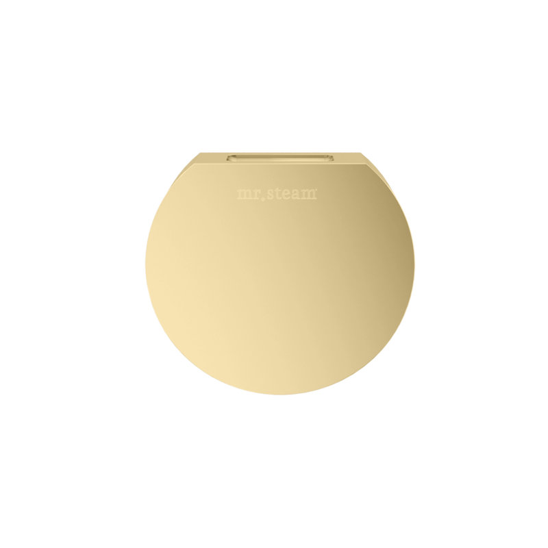 Tête à vapeur Designer avec réservoir AromaTherapie de 3 po rond , Laiton satiné