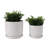 Embossed Ceramic Planters with Saucer For Indoor & Outdoor Use - Textured Flower Pots Home Accent for Living Room & Patio Décor - White-878722646