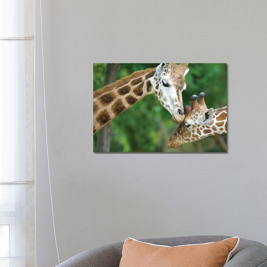 Giraffe in Love by Goran Anastasovski - Wrapped Canvas Graphic Art