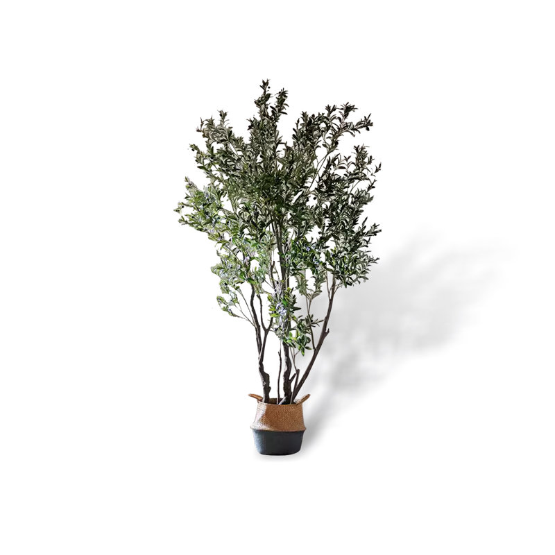 Simulation d'olivier, plante verte, bonsaï, grandes plantes, pot artificiel