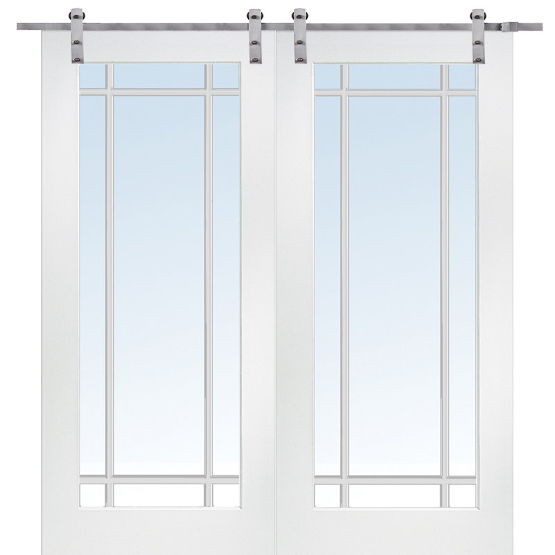 Porte de grange en verre avec quincaillerie d'installation, 60 po x 80 po, Acier inoxydable