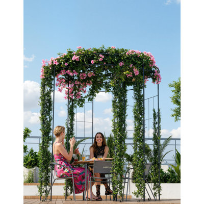 Heavy Duty Birdcage Garden Arch Trellis – 8.8FT Black Metal Arbor Pergola Pavilion for Climbing Plants, Roses, Vines, Outdoor Decorative Gate, Patio, Lawn, Backyard, Color: Black
