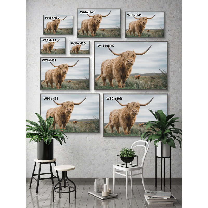Grazing Cattles - Print, 30cm H x 30cm W x 3.81cm D, Floater Grey Framed Canvas