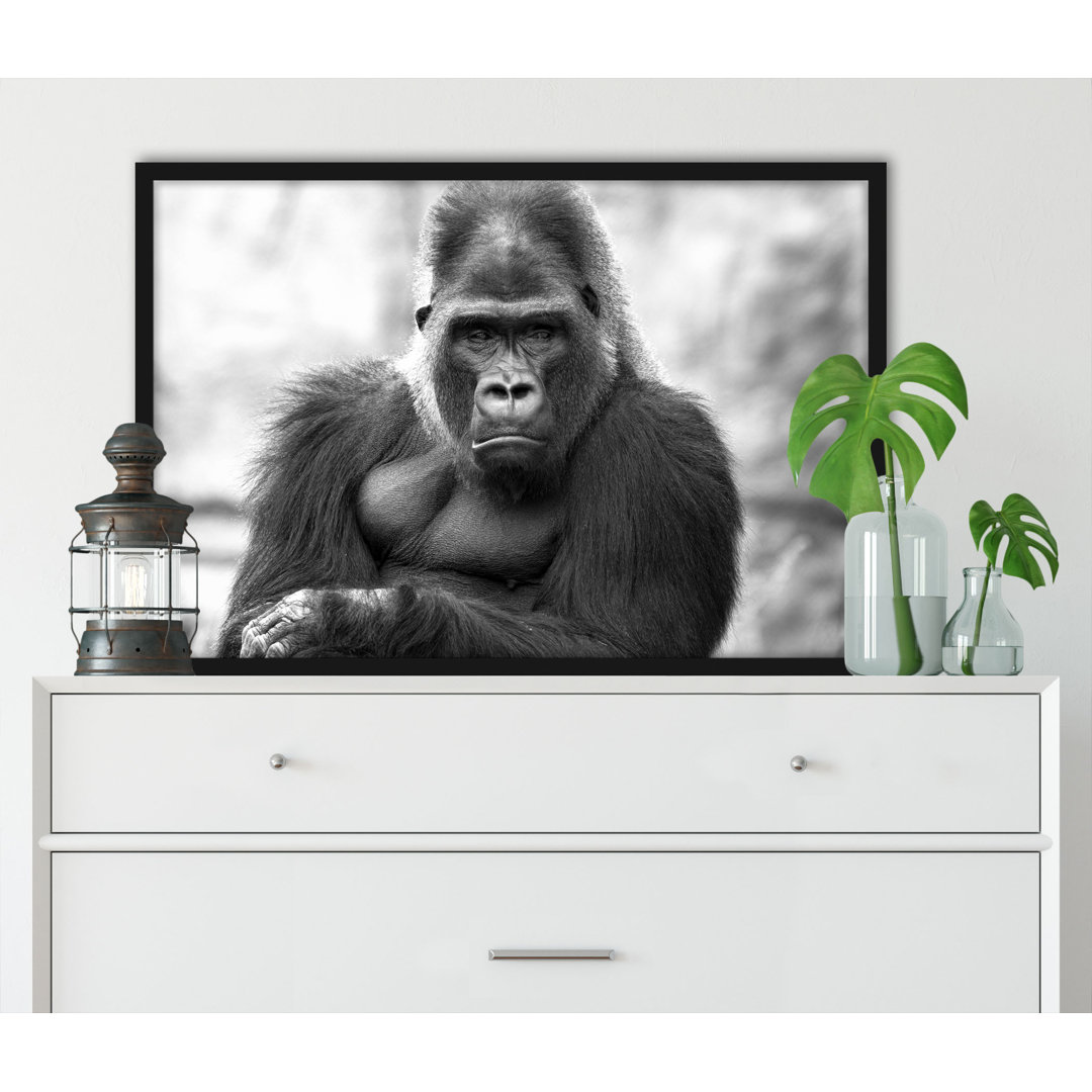 Gerahmtes Fotodruck Gelangweilter Gorilla Kunst B&W