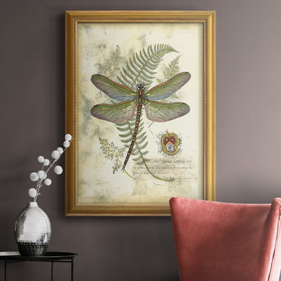 Regal Dragonfly I (PP) " Regal Dragonfly I (PP) "