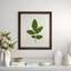 A Little Piece Of Nature IV Print