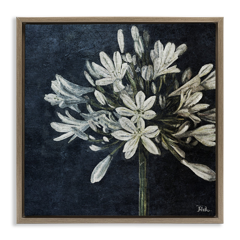 "White Herb Blooms", art mural encadré par Patricia Pinto, Cadre flottant orme Montalcino, H 25 po x l 25 po