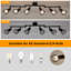 Aleckzander Chandelier