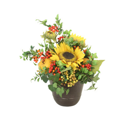 Tournesols avec baies et fruits