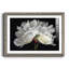 Morning Light - Reproduction d'art sur papier encadrée-1950103038-1950103009