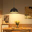 Olathe - Light Matte Black Pendant